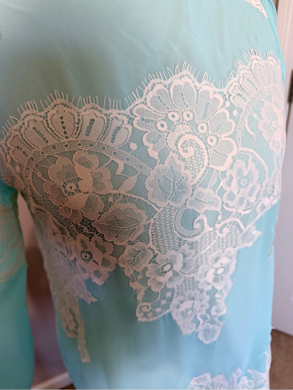 Aqua Lace Appliqué Sheer Sleeve Shift Dress - Picture 2 of 10